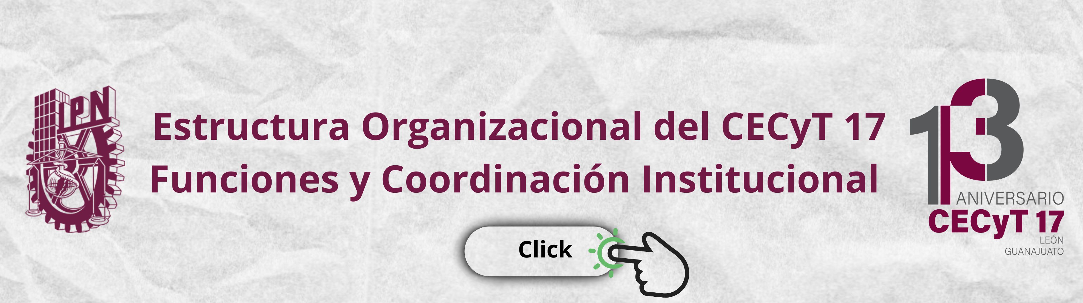 Estructura Organizacional CECyT 17
